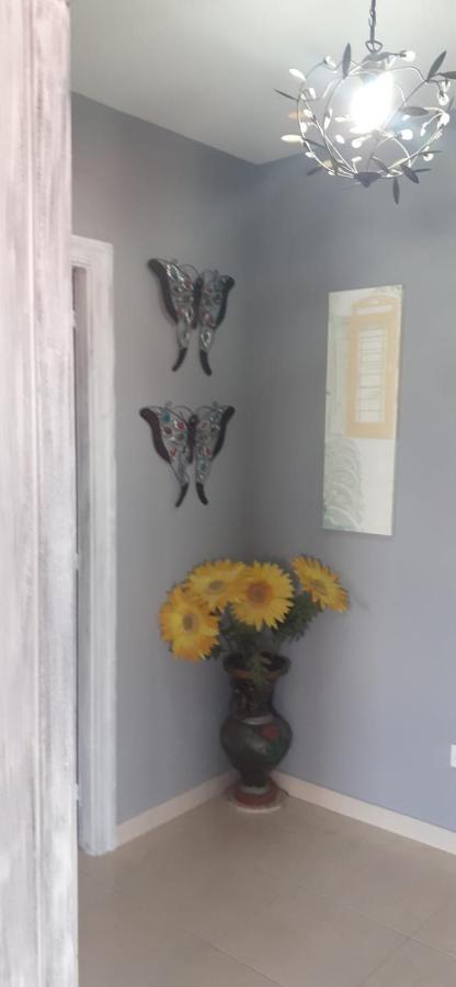 Apartamentos Puerto De Aguino Couso 外观 照片